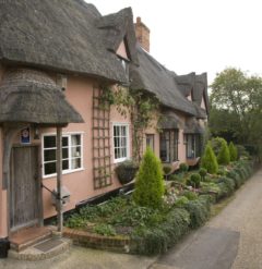 A Suffolk Pink thatched cottage set next to a narrow road and bordered by small green trees and shrubs