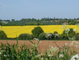 A countryside view