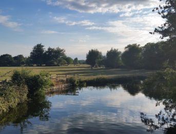 The River Stour