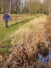 Redgrave and Lopham Fen