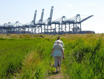 Trimley Marshes