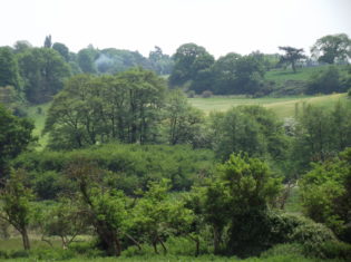 View of the lush green Fynn Valley